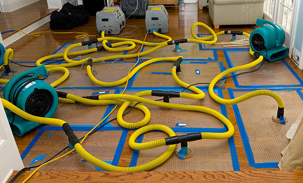 Professional Storm Water Damage Restoration technician working in Garden City, KS